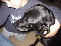 My dog Athena